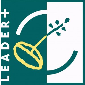 leaderplus leaderplus