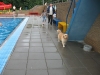 Afsluiting zwemseizoen 2008 018.jpg
