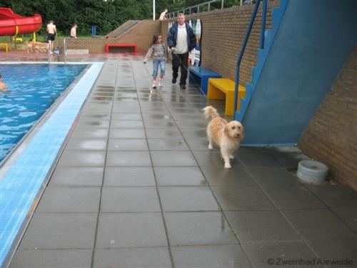 Afsluiting zwemseizoen 2008 018
