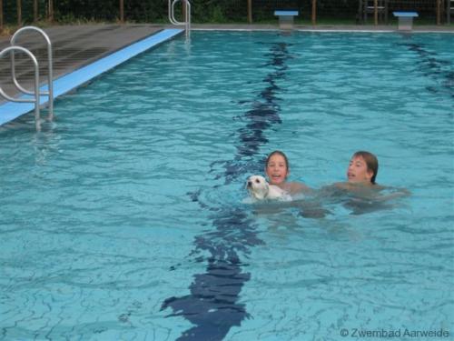 Afsluiting zwemseizoen 2008 023